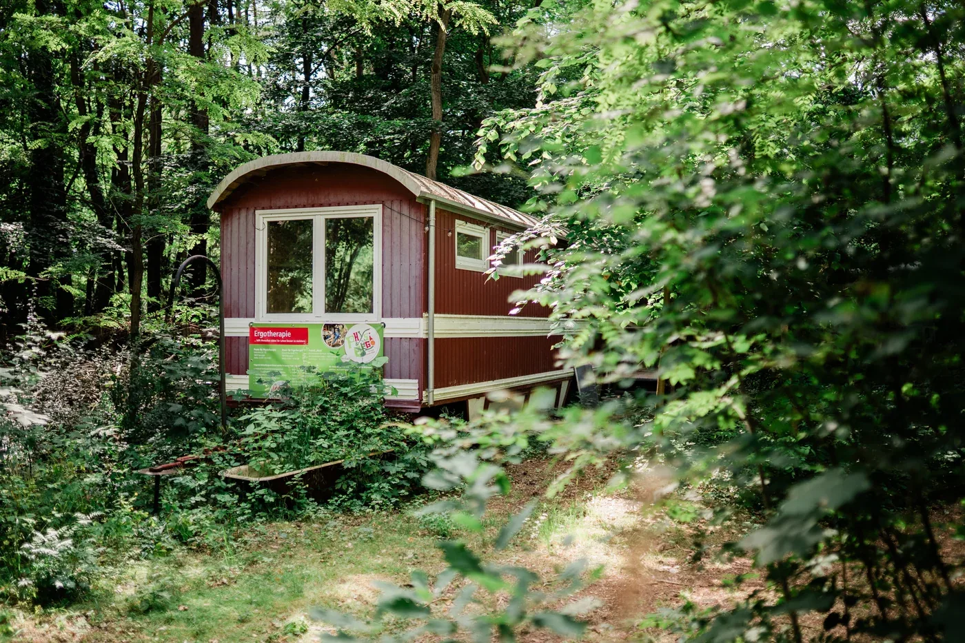 Naturdetail im Freundwald